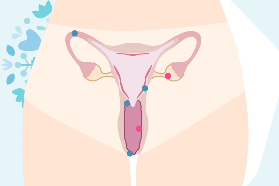 Grafika vagina
