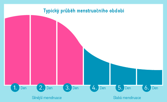 Typický průběh menstruačního období